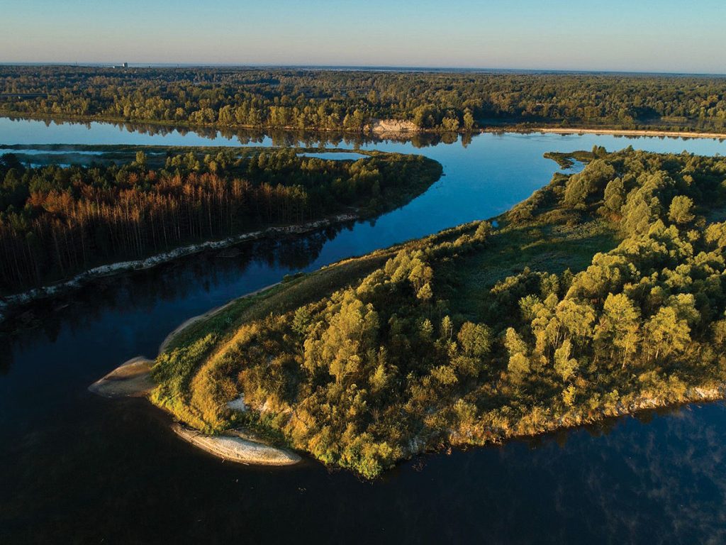 Aerial view Chornobyl forest DV April 2018 - Ukrainian Summer